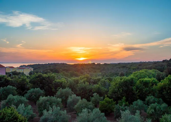 Plat 公寓式酒店 Kožino